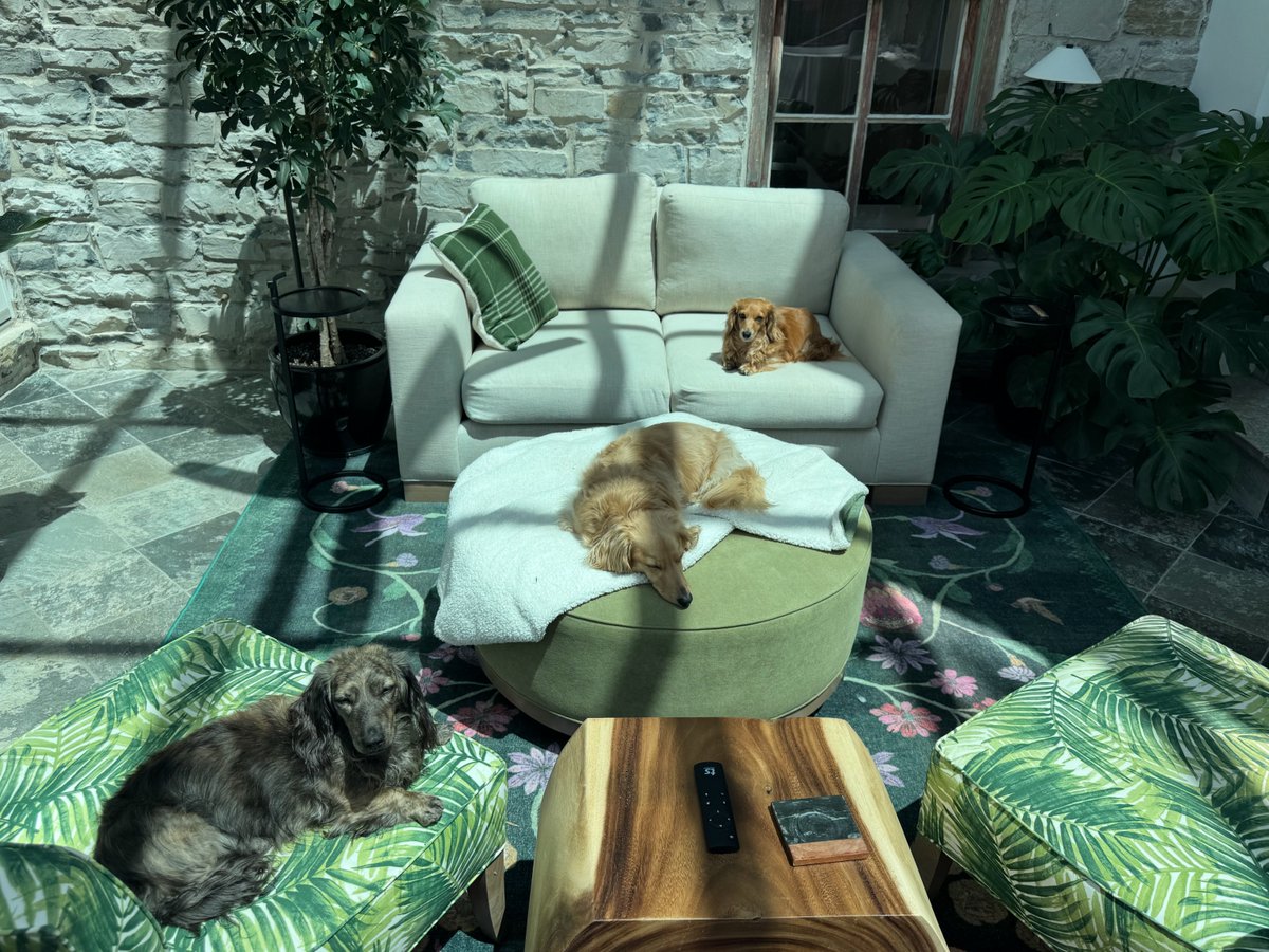 Walter_Fergus tweet media