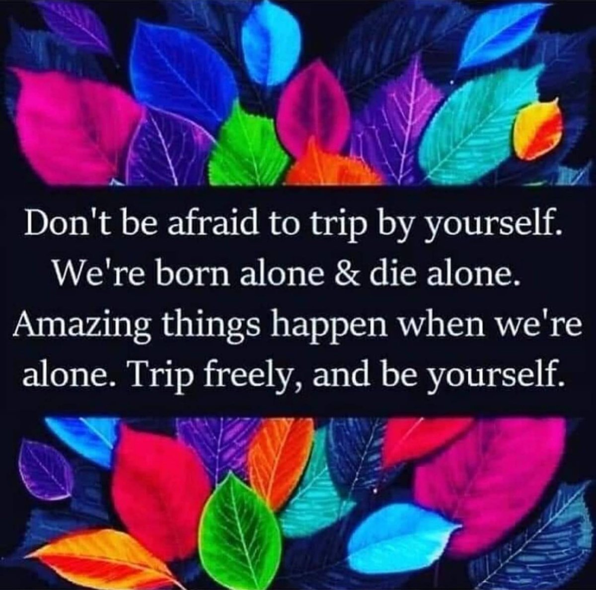 APsychedelics's tweet photo. A message from Aliens &amp; Psychedelics 💐 https://t.co/vOob9vdP5j