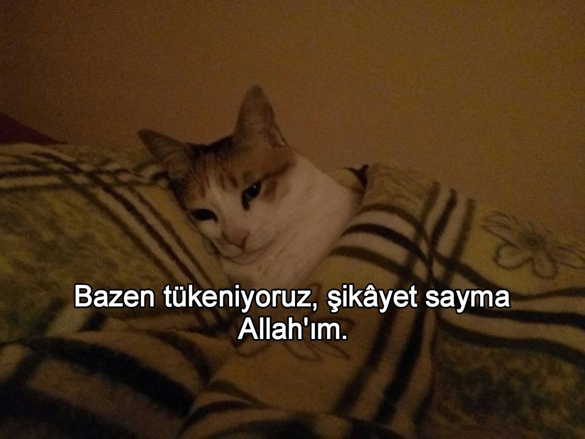 ezgi (@zirtiss) on Twitter photo 