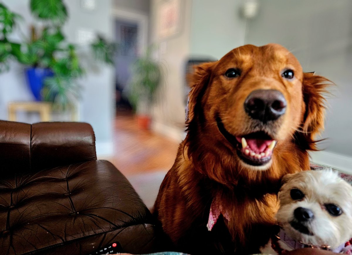 I have the most begging ass co-workers. They never want to take me to lunch, I'm always expected to treat. Then, they have the nerve to stand in front of me as if they are management , until I give them some attention 🙄 😒 🤣🤣