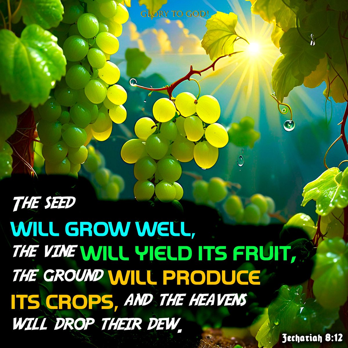 daily_breads's tweet photo. The seed will grow well, the vine will yield its fruit, the ground will produce its crops, and the heavens will drop their dew. 
Zechariah 8:12

#VerseOfTheDay #BibleVerses #DailyVerse https://t.co/QNOnOFwutB