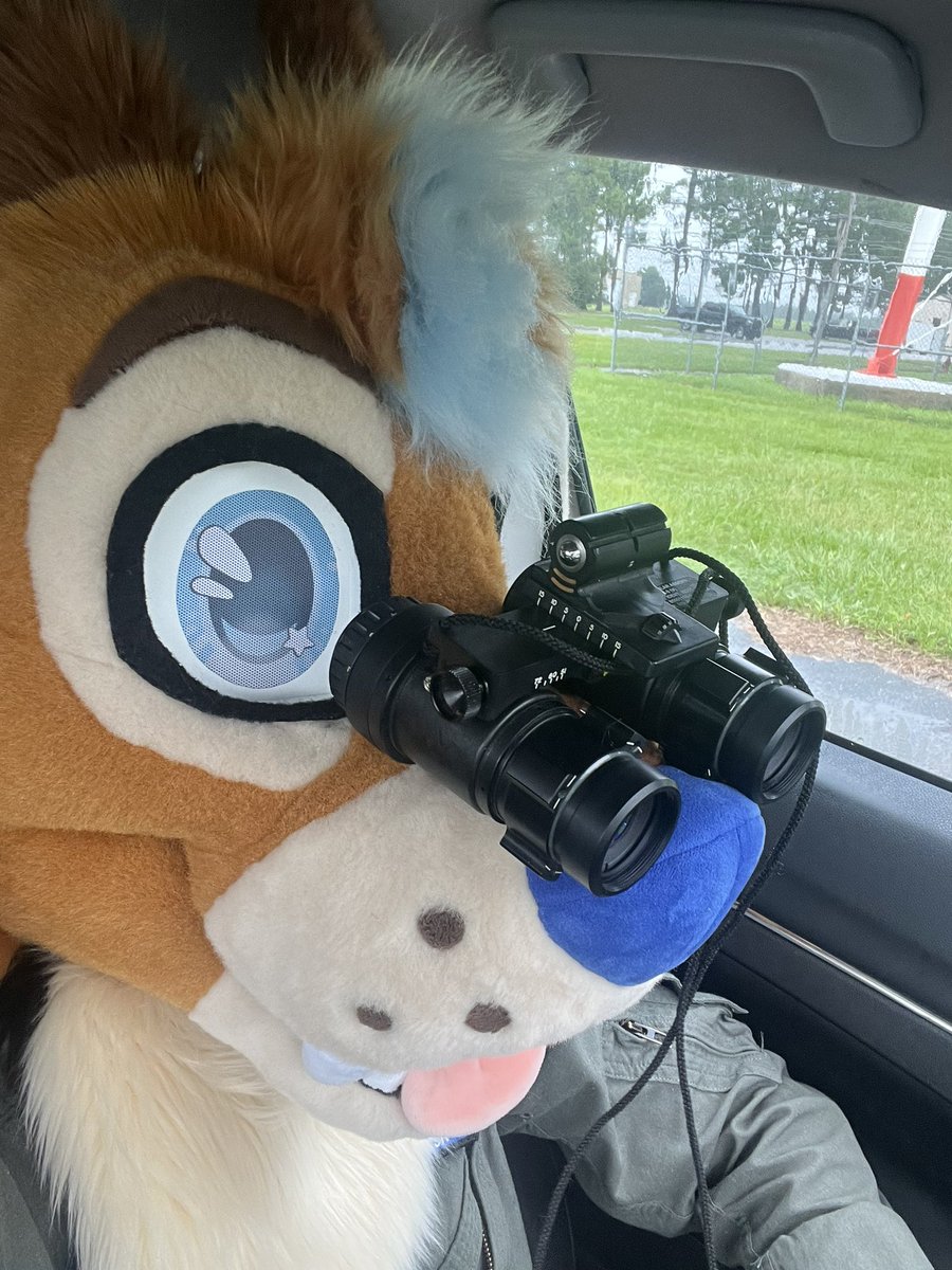 AC_Shock17's tweet image. Fun fact: Jackals have the ability to see at night!