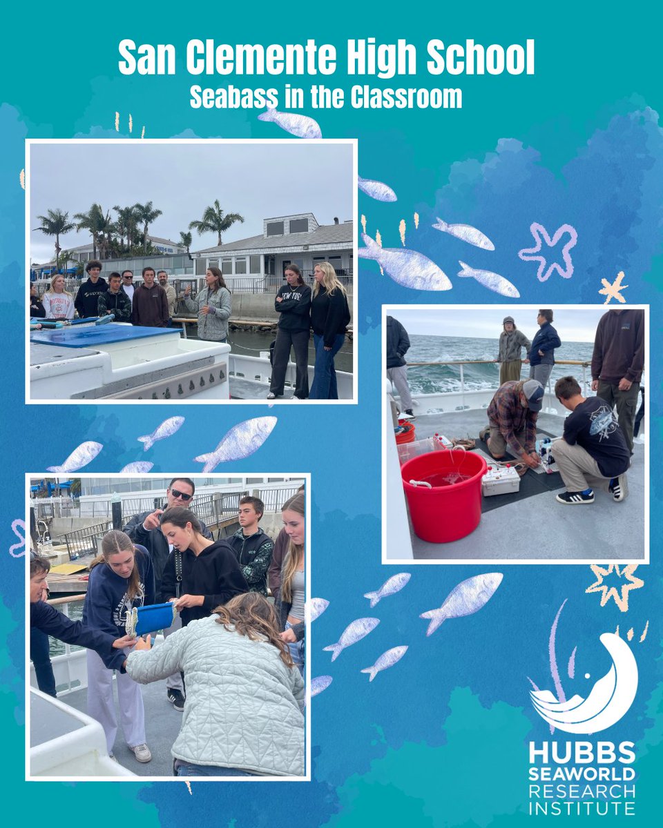 Hubbs-SeaWorld Research Institute (@hubbsresearch) on Twitter photo Our Seabass in the Classroom students are putting the E in STEM! San Clemente High School students built and deployed custom ROVs with GoPros to film their white seabass release—in the ocean!
<a href="/GetInspired8/">Get Inspired</a> <a href="/CaliforniaDFW/">California Department of Fish and Wildlife</a> <a href="/CCACalifornia/">Capitol Correspondents Association of California</a> #HSWRI Our Seabass in the Classroom students are putting the E in STEM! San Clemente High School students built and deployed custom ROVs with GoPros to film their white seabass release—in the ocean!
<a href="/GetInspired8/">Get Inspired</a> <a href="/CaliforniaDFW/">California Department of Fish and Wildlife</a> <a href="/CCACalifornia/">Capitol Correspondents Association of California</a> #HSWRI