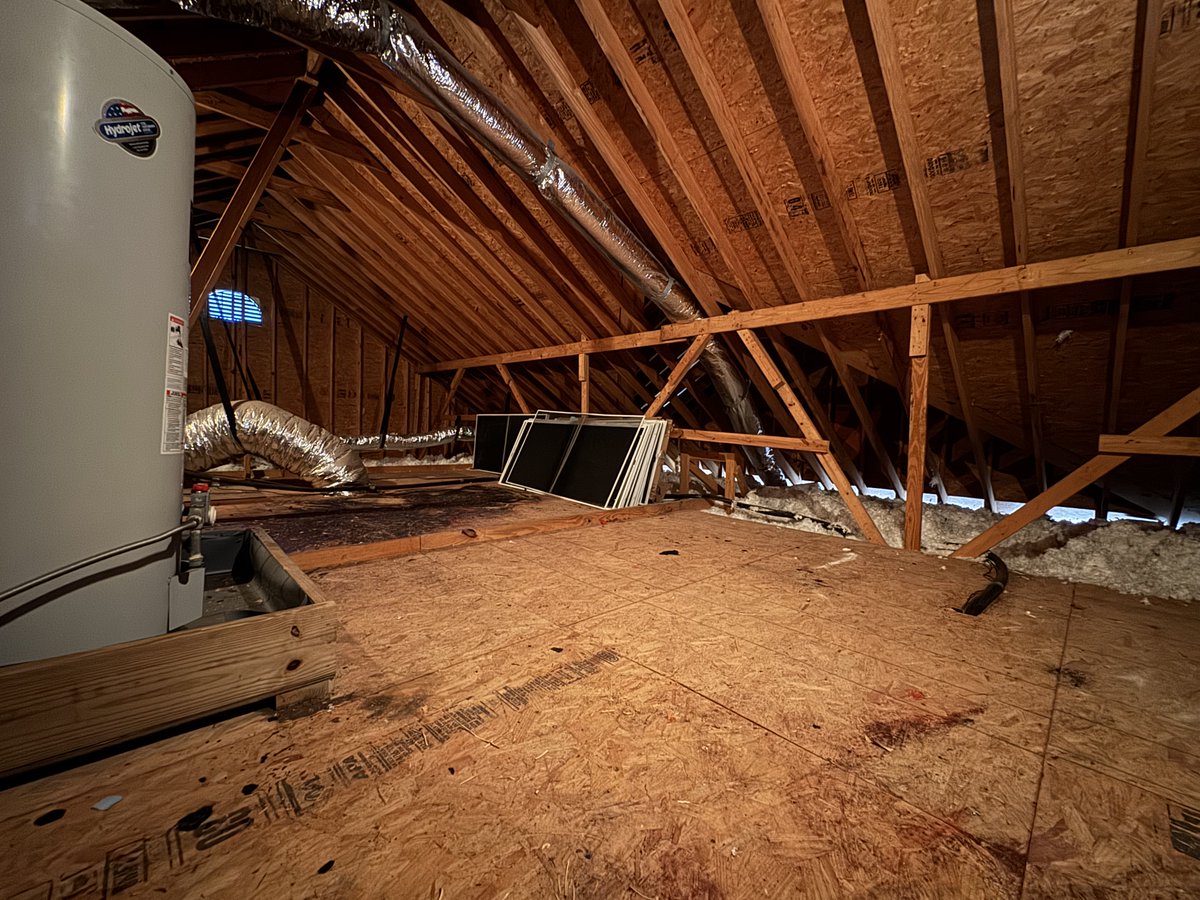 BDJunkremoval's tweet image. Swipe to Clean: Attic Declutter
Where junk disappears like magic ✨

💪 Real cleanups. Real satisfying.
🐾 Black Dog Junk Removal
📍 Charleston, SC
☎️ 843-920-JUNK

#JunkRemoval #CleanOutCrew #DeclutterYourLife #SwipeToClean #BeforeAndAfter #JunkBeGone #TidyTransformation