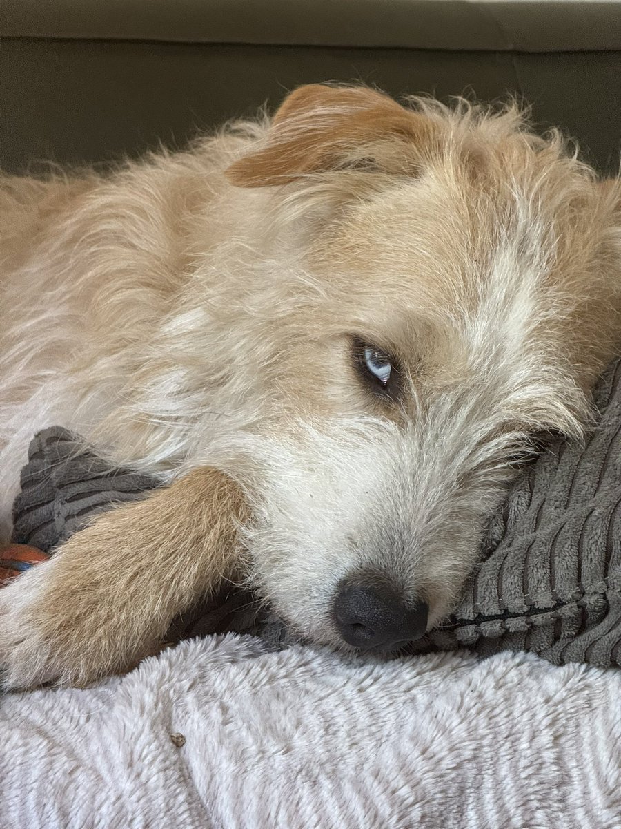 nicwerks (@nicwerks) on Twitter photo 