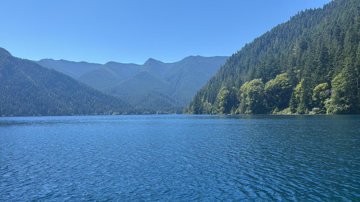 Rebecca Kortum tweet media