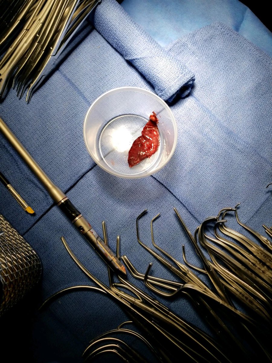 𝙍𝙖𝙠𝙚𝙨𝙝 𝙎. 𝘼𝙝𝙪𝙟𝙖, 𝙈𝘿 tweet media