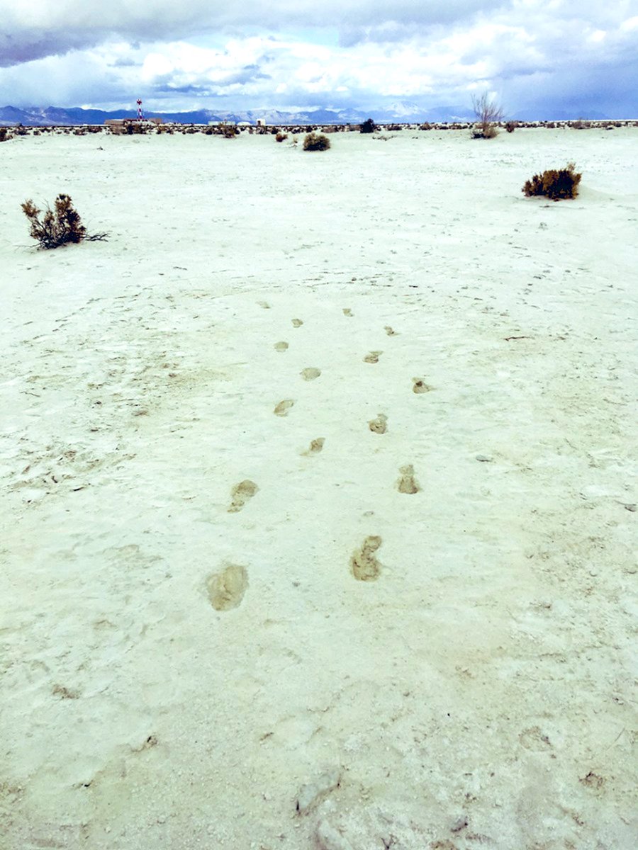 MoundLore's tweet photo. Then came White Sands.
New Mexico, 2021.

A dry lakebed. Layers of ancient silt.

Footprints.
Dozens of them….teenagers, children, barefoot and walking alongside mammoths and giant sloths.

Dated to 23,000 years ago.

Not a tool. Not a theory.
A moment. Frozen in mud. Etched in time.