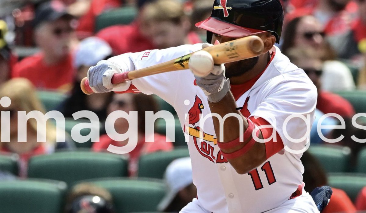 TimVizerPhoto's tweet image. Hired again by Imagn Images for a Major League Baseball game in late July, the Cardinals hosting the Padres at Busch Stadium. timvizerphotography.com @Cardinals @Padres @MLB #baseball #SportsPhotographer