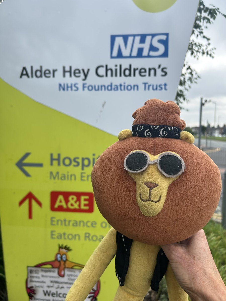 The kindness ripple is spreading… as Jonny’s paws r treading exciting new places…&amp; taking kindness in new directions.

Lovely to meet with Katie @alderhey 
More soon 🦁❤️ 🐾 

#KindnessRocks #pb #rockstar #lion #jonny #socialvalues #socialimpact #children #community #alderhey