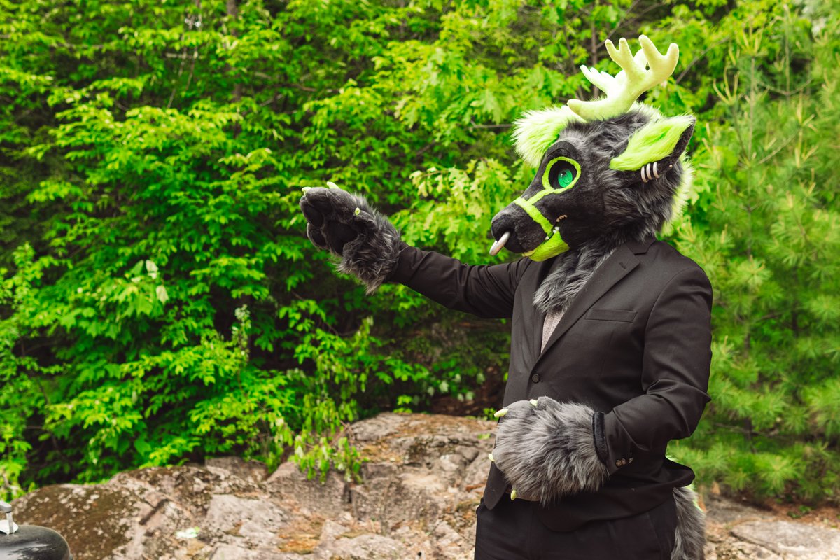 wolvessoulz's tweet image. Hot deers in your area