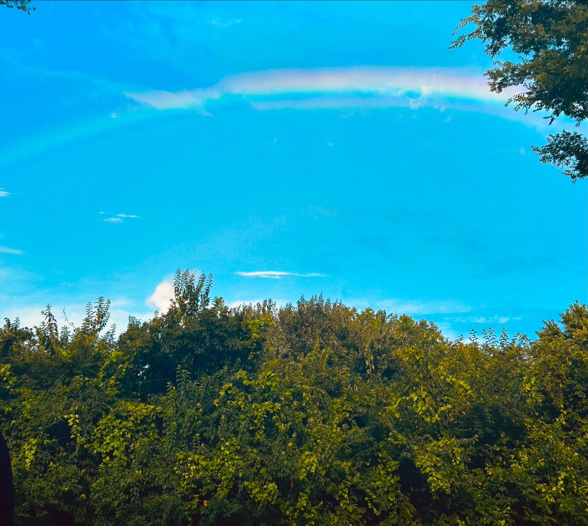 StainedHardwood's tweet photo. Perhaps it’s not the pot of gold
that matters most at all—
not the glittering prize
at rainbow’s end,
but the steps we take
when the skies still hold
both storm and sun
in their hands.

It’s in the search—
in the questions that shape us,
the quiet moments of awe,
the stumbles that teach,
the whispers of wonder
in places we least expect.

Maybe the treasure
isn’t something we hold
but something we become—
hope-warmed, heart-wiser,
brave enough to keep walking
even when the road bends
and the rainbow fades.

Maybe the miracle
was never at the end,
but always
in the looking.

#journey #rainbow #mentalhealth #shine