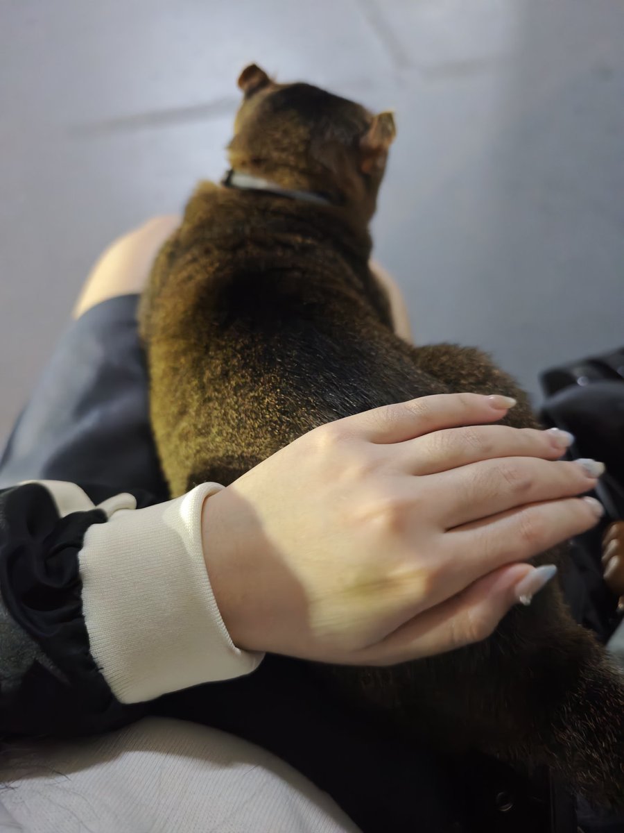 Rin Vaughan 🥕😎VSINGER tweet media