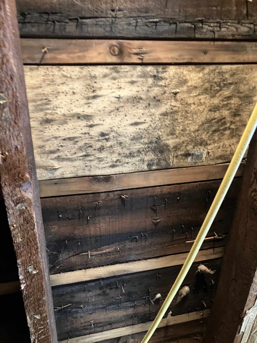 ClapperNy's tweet photo. DON'T FALL FOR THIS!  A different local roofing company was hired because they were cheaper and willing to cover this up. It is costing THOUSANDS in repairs. Covering damage is never ok. IF YOU THINK HRING A GOOD ROOFER IS EXPENSIVE, TRY HIRING A BAD ONE! https://t.co/UqU3Kh5YYC