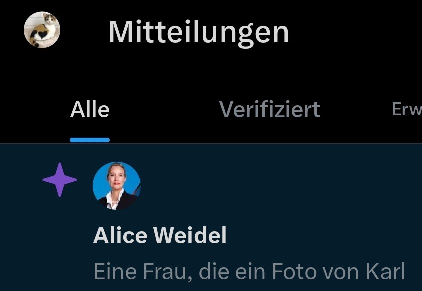 cLyppersen's tweet image. auf meinem geschützten meldeaccount, 0 follower, 0 following, 0 favs wird mir mittlerweile jeden tag rechter müll als appetizer angeboten. 🫠