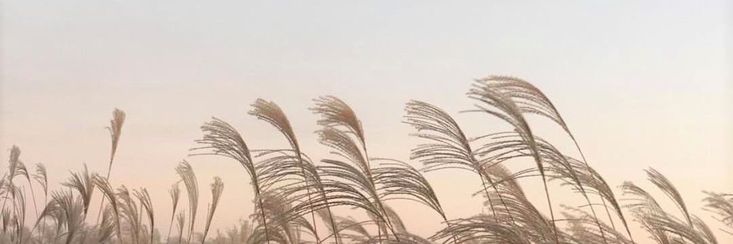 lxvescore's tweet image. 