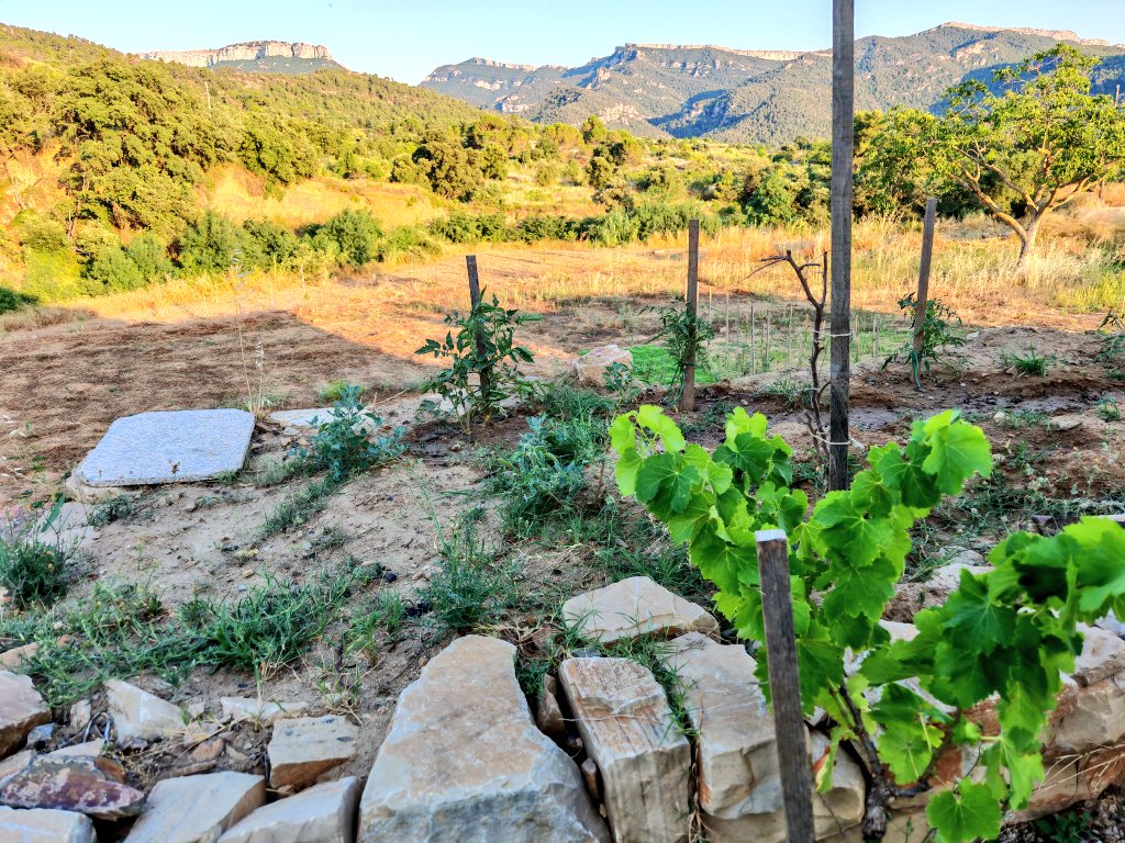 Lorcan O'Brien (@theirishwino) on Twitter photo In <a href="/MONTSANT/">DO MONTSANT</a> enjoying a lovely drop of Cava. The wine is good, but the views from the boutique family vineyard makes it spectacular! ๐๏ธ
A joy to be with Tom & <a href="/priorathotel/">Priorat Aparthotel, Falset, Tarragona,Spain</a> clan. ๐ช๐ธ
A proud Irish family, living their best life in Catalunya. ๐ช๐ธ๐ฎ๐ช
<a href="/philipnolan1/">Philip Nolan</a> <a href="/Liam3494/">Liam Mycroft</a> In <a href="/MONTSANT/">DO MONTSANT</a> enjoying a lovely drop of Cava. The wine is good, but the views from the boutique family vineyard makes it spectacular! ๐๏ธ
A joy to be with Tom & <a href="/priorathotel/">Priorat Aparthotel, Falset, Tarragona,Spain</a> clan. ๐ช๐ธ
A proud Irish family, living their best life in Catalunya. ๐ช๐ธ๐ฎ๐ช
<a href="/philipnolan1/">Philip Nolan</a> <a href="/Liam3494/">Liam Mycroft</a>