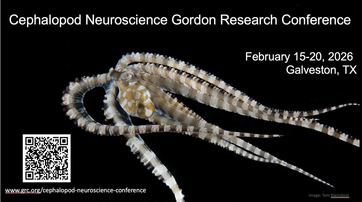 simon_sprecher's tweet image. Excited to announce that the preliminary program for the Cephalopod Neuroscience GRC is now online! 
Applications are now open! Attendance is limited so be sure to register early in case space fills up!

grc.org/cephalopod-neu…
