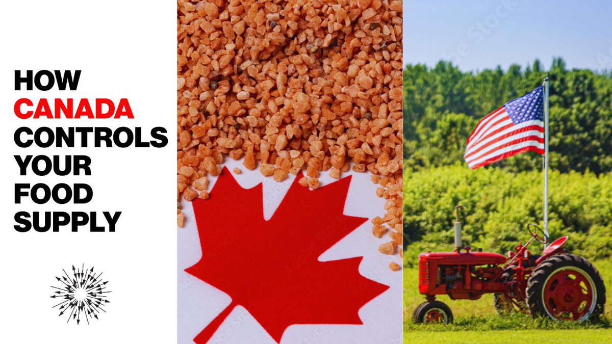 How Canada quietly became the backbone of your food system. 🇨🇦
Potash might not be in your pantry—but it's in almost everything on your plate.
youtube.com/shorts/VXFVrq8…

#Potash #FoodSecurity #CanadaResources #SustainableFarming #CriticalMinerals #EnergyTransition