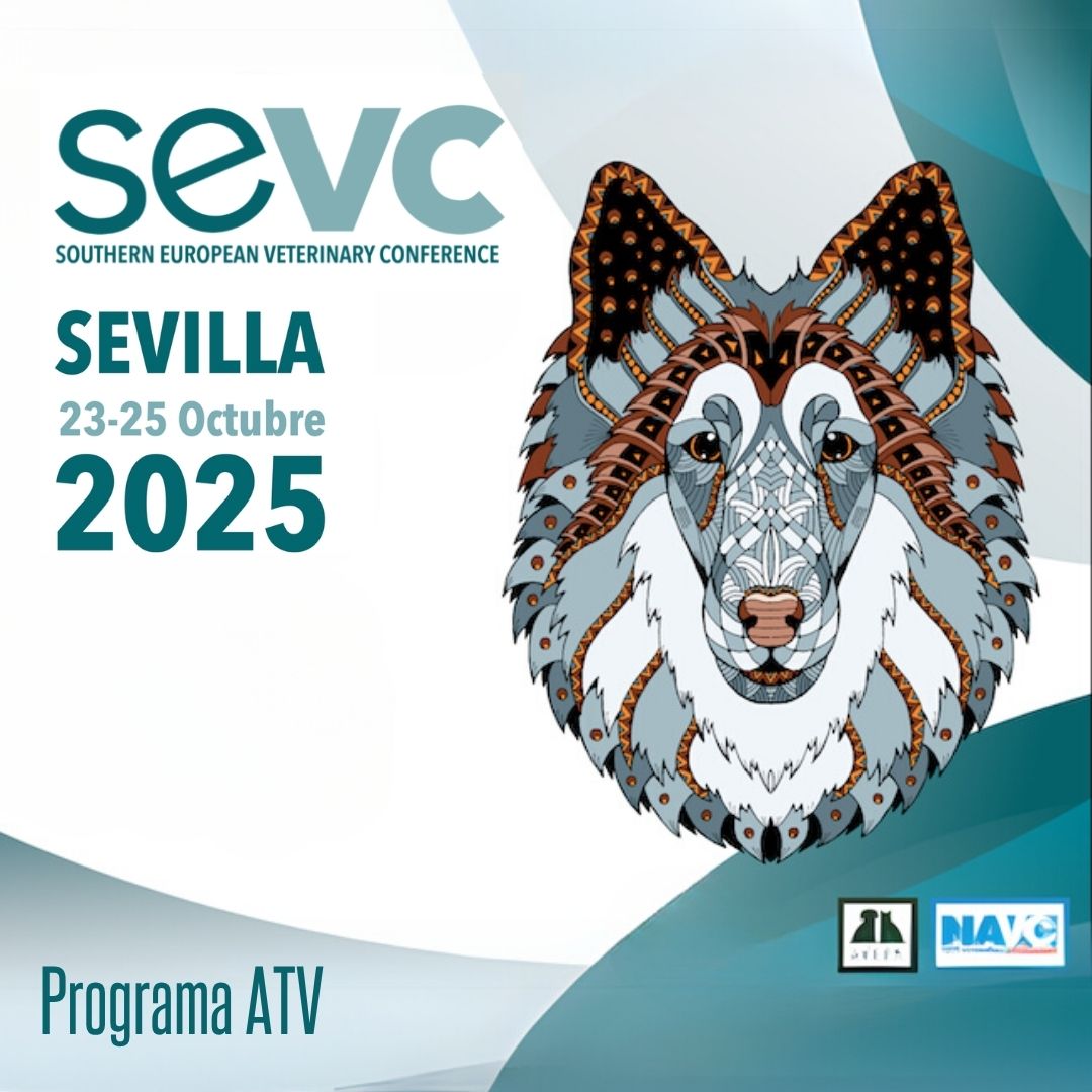 AVEPA_vet's tweet image. Si eres #ATV en el #CongresoAVEPASEVC 2025 te espera un programa científico hecho para ti: manejo del paciente crítico, dolor, anestesia, conducta, clientes difíciles… ¡y más!
📍 Sevilla, 24-25 oct
Info en avepa-sevc.onsitevents.com/programa-atvs
#Formaciónatv #Veterinaria #congresoatv #sevc2025