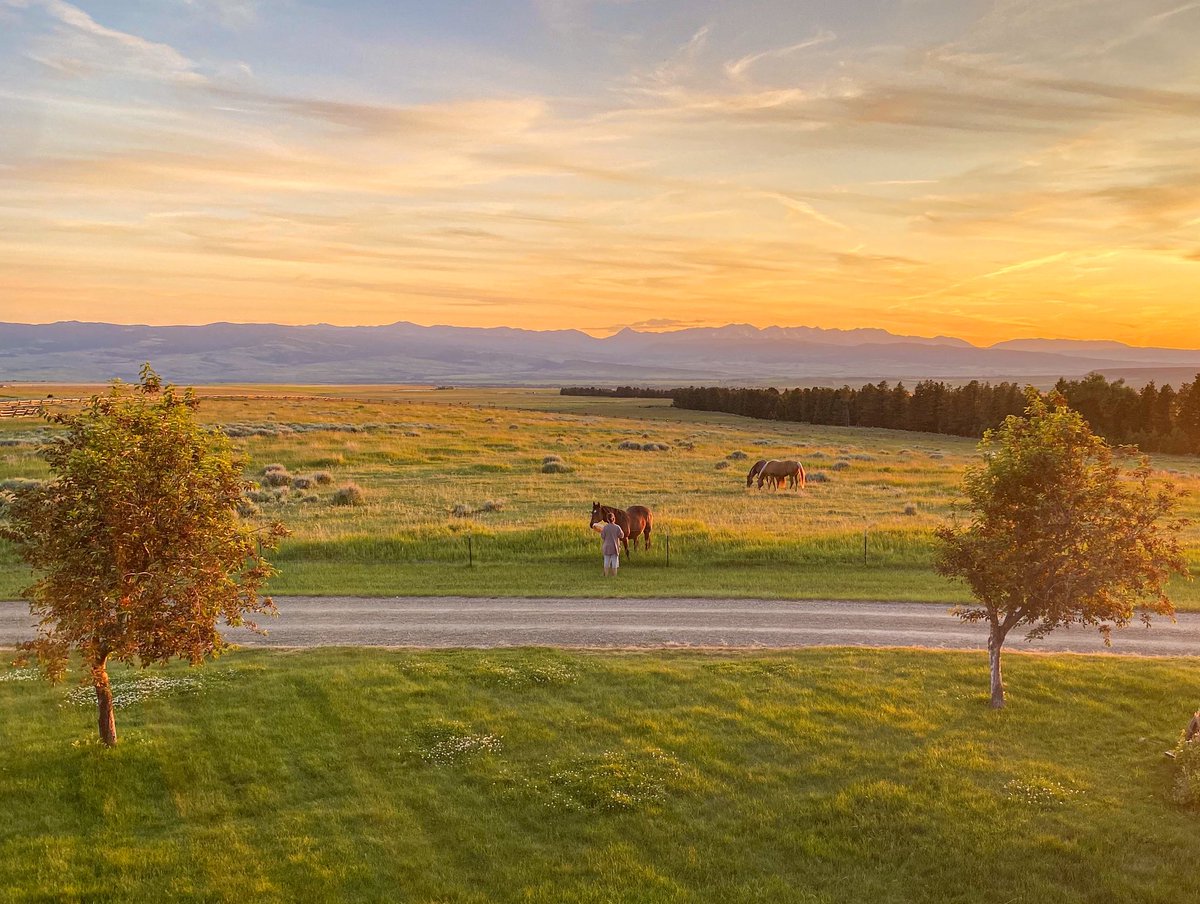 RileyJohnsGolf's tweet image. Back home on the ranch for the summer