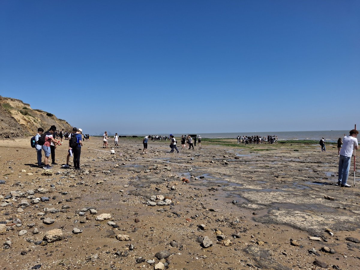 MissLFryer's tweet image. Final day of #NationalFestivalofFieldwork and we (KEGS) were one of many schools analysing Walton-on-the-Naze&apos;s coastal management in the sun today. At least the temperatures were cooler at the coast!