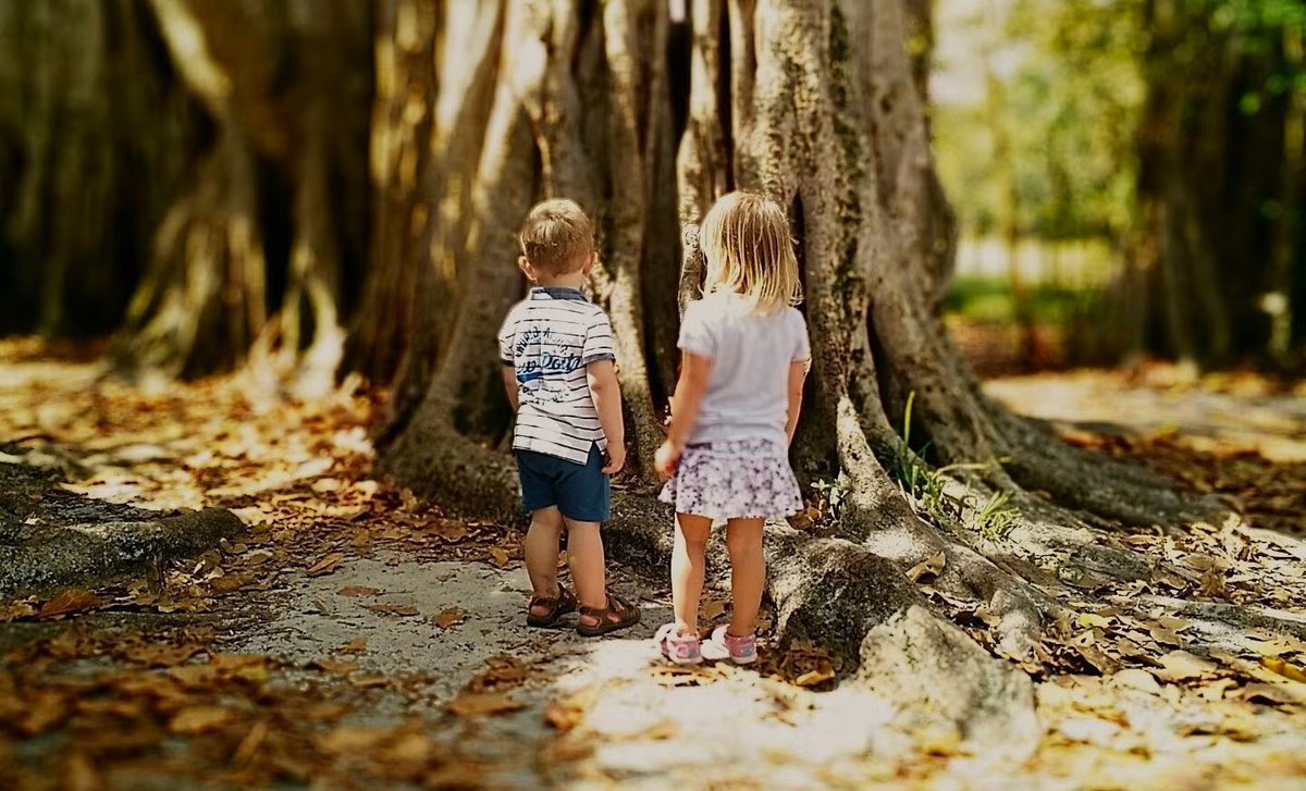 FLStateParks's tweet image. Last chance for savings! ⚠️💸
Enter the Exploring Education Sweepstakes by June 30, 2025, for your chance to win a prize package including:
-A $1,000 Florida 529 Savings Plan scholarship.
-A Florida State Parks Family Annual Entrance Pass.
-A Junior Ranger gift pack…