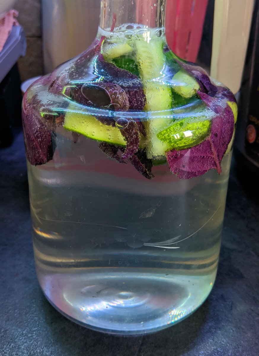 Beerhoff 🇺🇦 tweet media