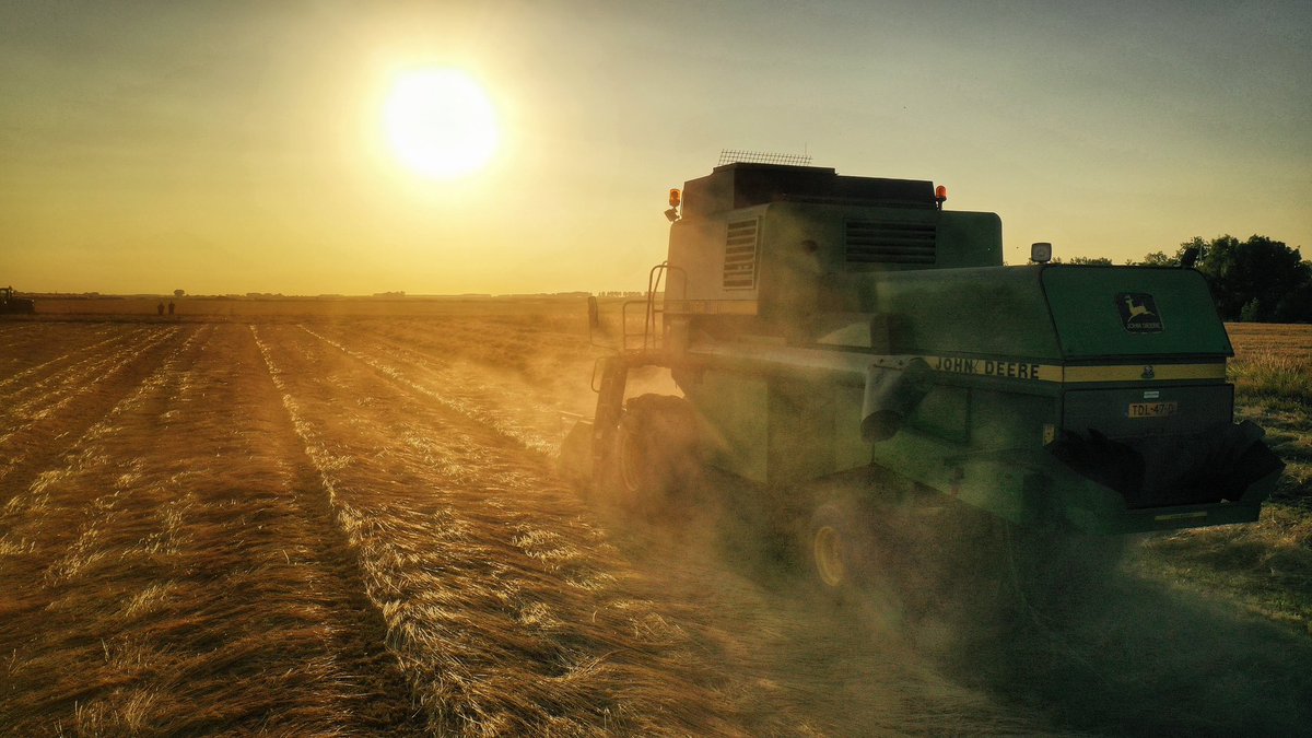 Maarten Janse tweet media