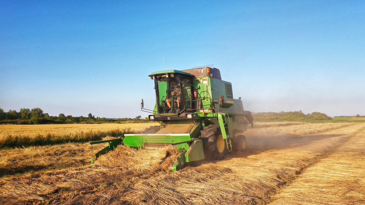 Maarten Janse tweet media