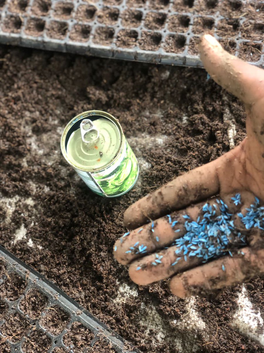 ToluAdams3's tweet image. Visibility is everything 

#effectfarmer #agribusiness