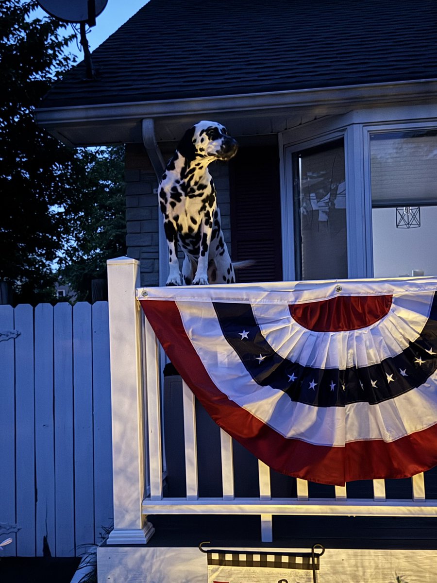 Hailey Krainski tweet media