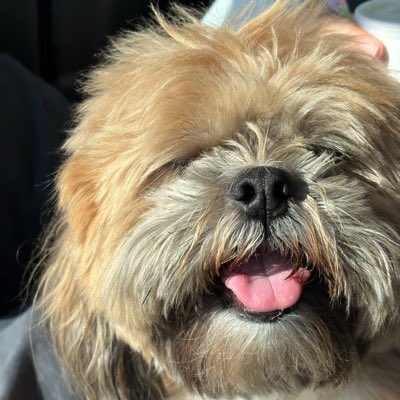 #NuevaFotoDePerfil