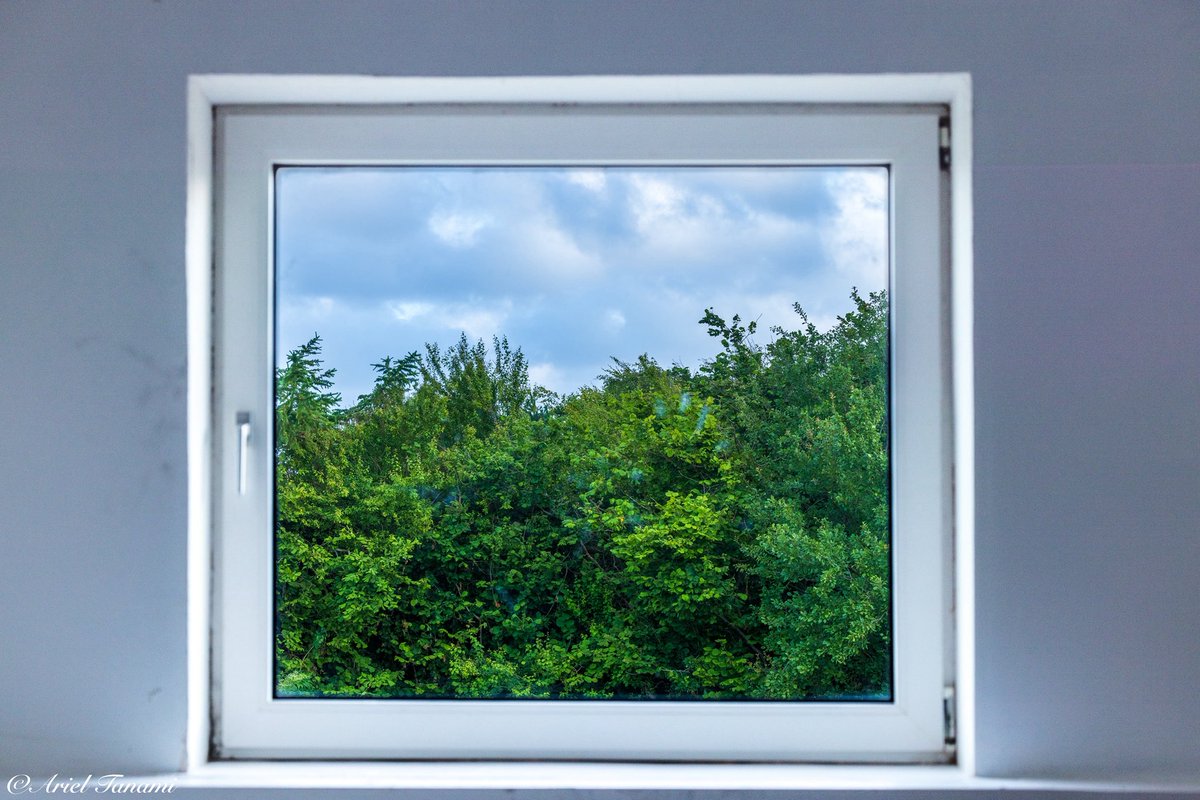 אחרי הרבה תלאות הגענו לדנמרק לעבודה. הצלחנו לצאת באיחור של יום והגענו עם הלשון בחוץ אחרי שטיסת ההמשך שלנו התעכבה ביותר משעתיים וחצי (רק 4 בבוקר הגענו לדירה) ולא הבטחתי אבל אשתדל בין עבודה לתיזוזים לעלות קצת תמונות מוזמנים להנות לדבר לשמוע ולהשמיע. 
 
תמונת חלון