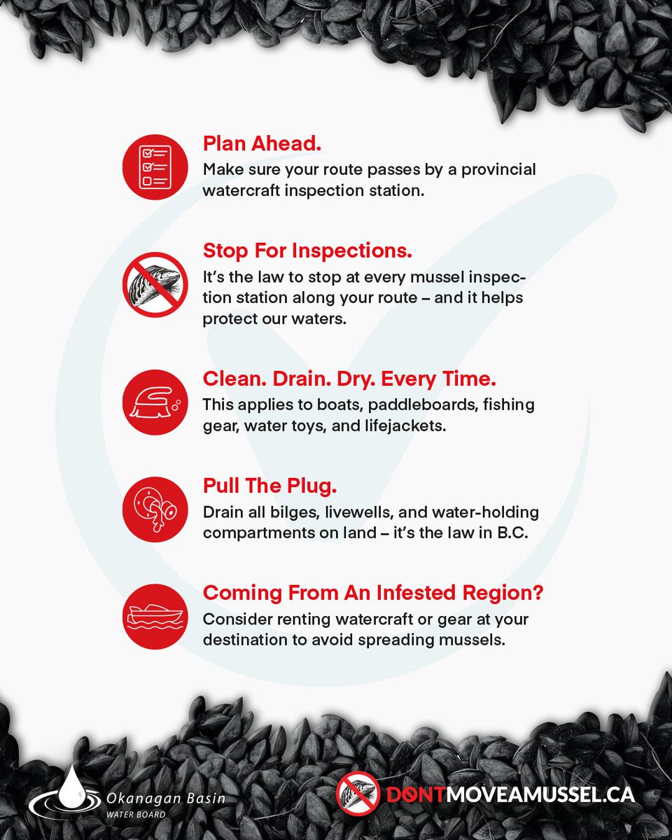 🛥️ Planning an Okanagan getaway with watercraft from another province or the U.S.?
🏖️ Returning to the Okanagan from an infested region?

Follow the Responsible Recreation Checklist ➡️ Learn more: DontMoveAMussel.ca/Prevention

#DontMoveAMussel #InvasiveMussels #OkanaganValley