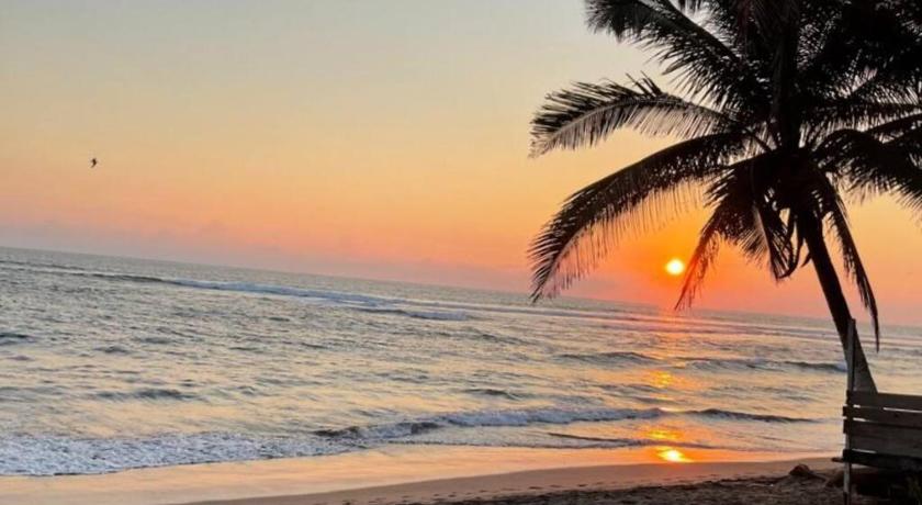 Michoacan's tweet photo. Déjate sorprender por los atardeceres mágicos que pintan el cielo en las #PlayasDeMichoacán 🌅
Arena, mar y paisajes que te roban el aliento.
#Michoacán 🛣️✈️ #elAlmadeMéxico 🦋
#PlayaAzul https://t.co/lr9GC3Da1h