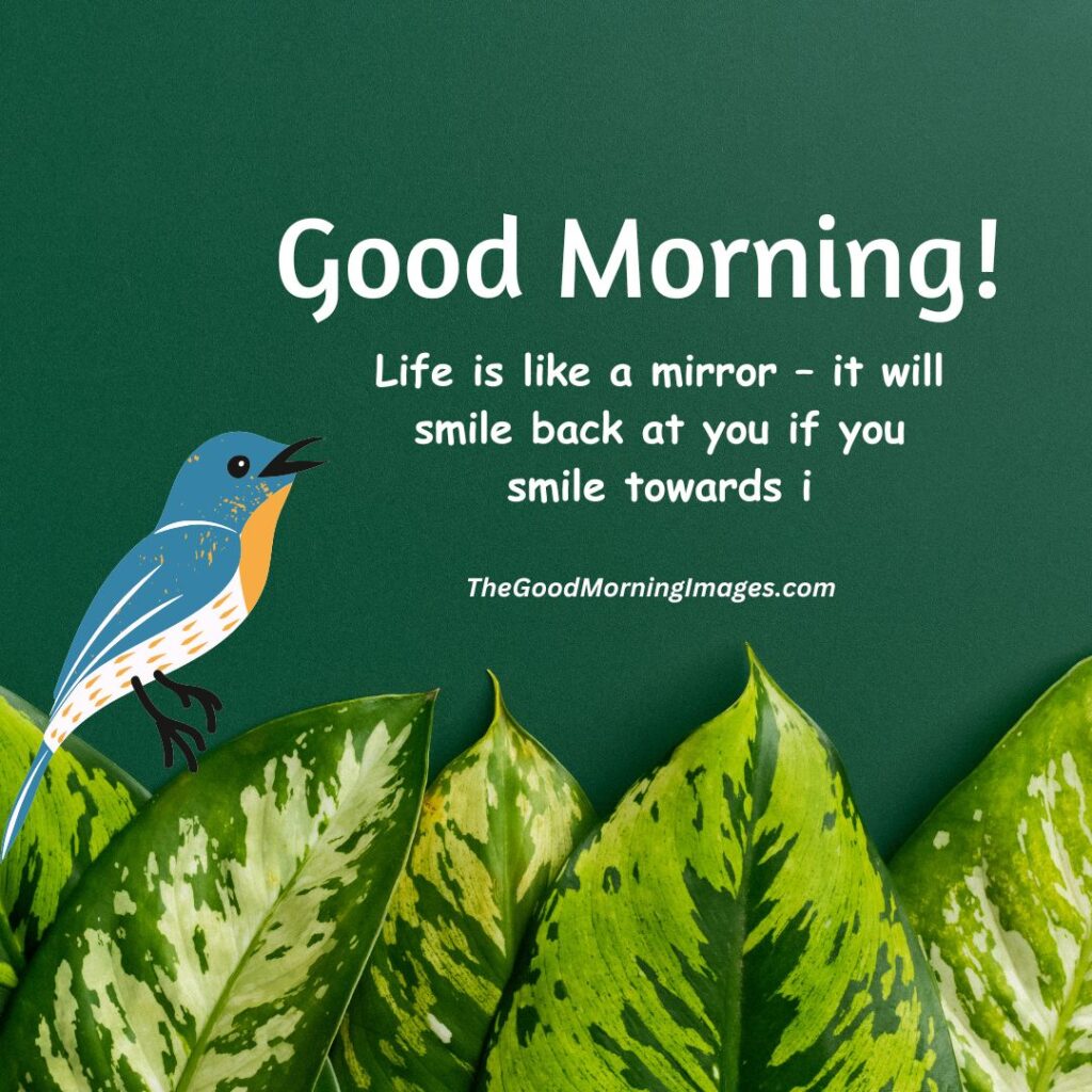 shweta singh (@sonali_83180) on Twitter photo 