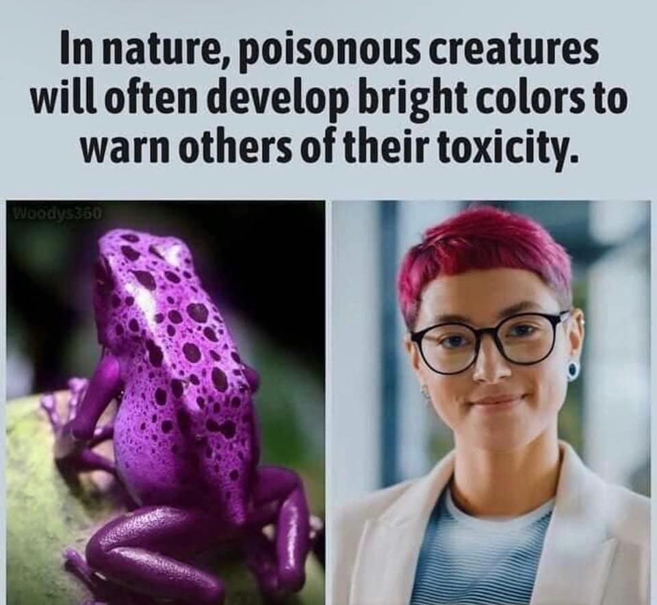 It all makes sense now!