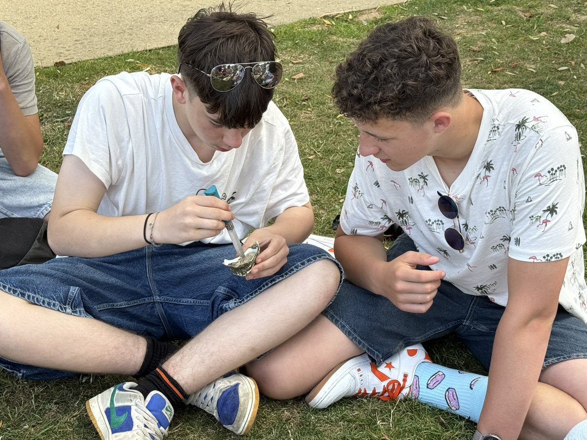 ClevedonDT tweet media