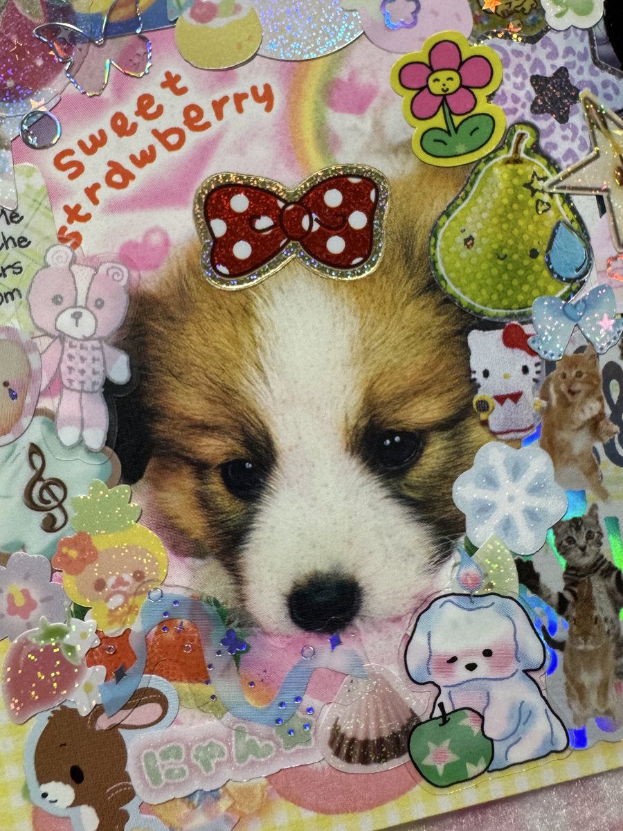 (★^∀^★) tweet media