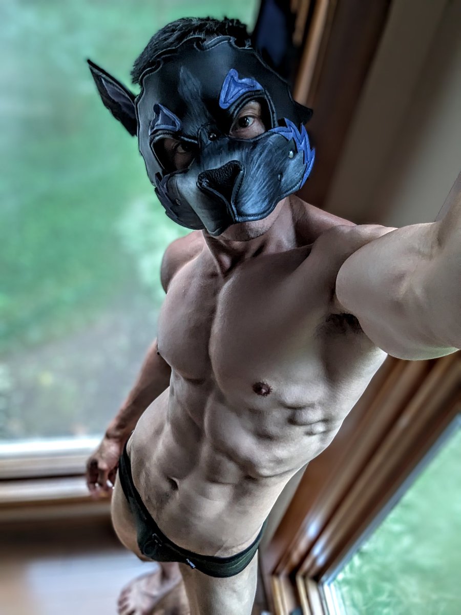 WolfPup Turbo tweet media