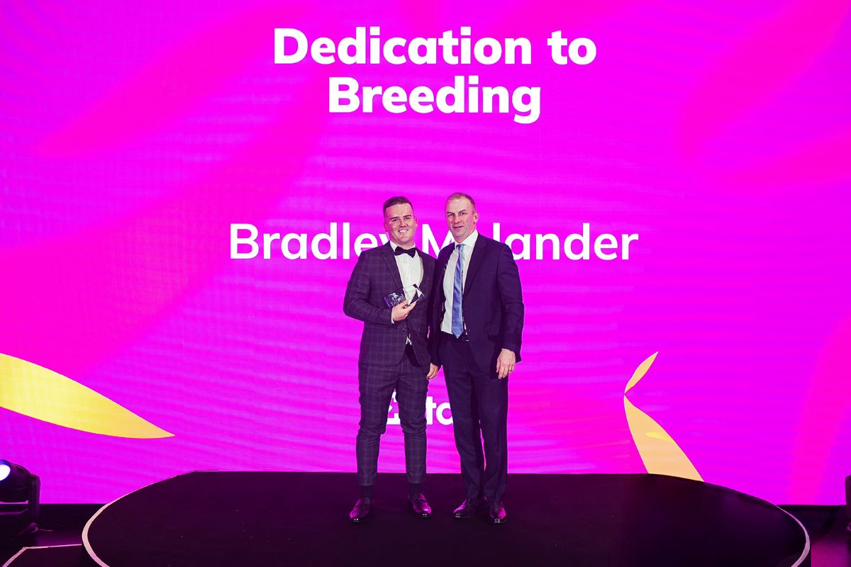 NEWS: Wentwood Grange Yearling Manager Brad Molander was the winner of the Dedication to Breeding Excellence Award at the Entain Industry Excellene Awards on Sunday night. Read more here racingnews.co.nz/molander-recog…