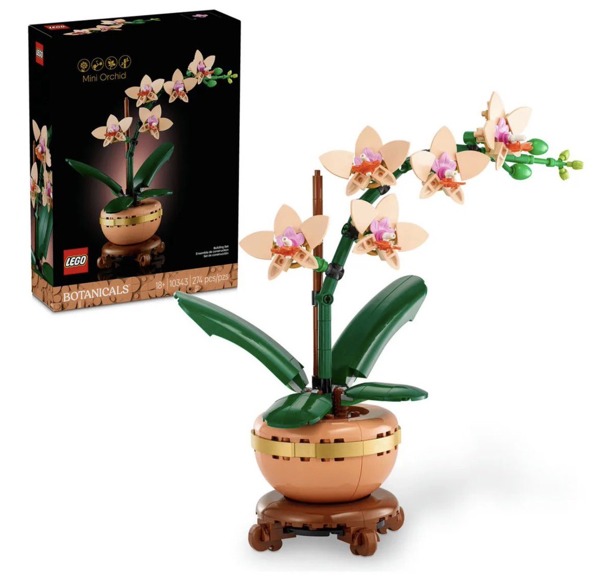 Zell_39's tweet image. Se q es como preguntarle a la pared, pero, será buena idea regalarle de estas a mi nv en vez de flores reales? Es q me da penita q se marchiten y pues estas son de que eternas qwq