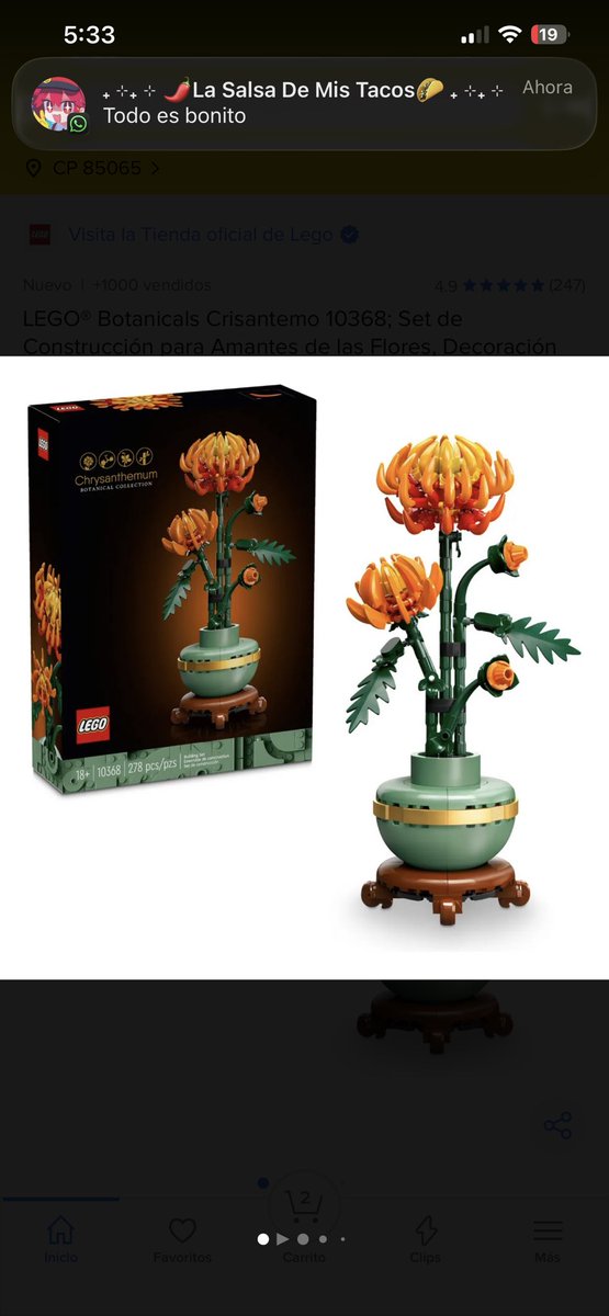 Zell_39's tweet image. Se q es como preguntarle a la pared, pero, será buena idea regalarle de estas a mi nv en vez de flores reales? Es q me da penita q se marchiten y pues estas son de que eternas qwq