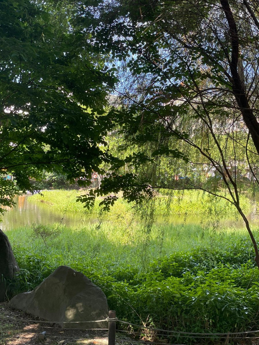 你有力量去改變一切。 ——《蜘蛛人》
今天，就是你改變的開始！加油🕷️🔥