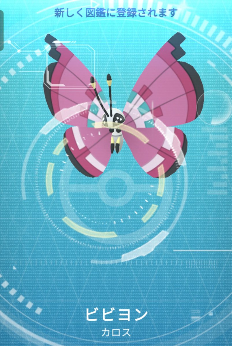 VXKfmohffMhksuz's tweet image. 色違いコフーライ進化したらCP777だった記念

#ポケモンGO
#PokemonGO
#Spewpa
#Vivillon