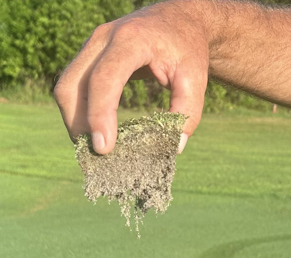 Damian Hillen (@hillendamian) on Twitter photo 