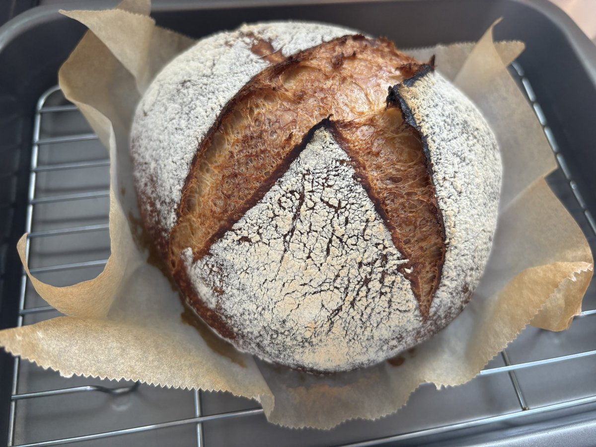 RamiChrysanthe's tweet photo. そういえば去年東京に引っ越して広いお部屋で、料理したり植物育ててのんびり暮らしているよ～
今日はスクエニのパスワードとかわかんなくなってたからその申請をしたよ～ https://t.co/kjX0GUUuk4