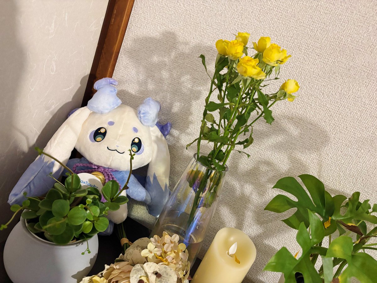RamiChrysanthe's tweet photo. そういえば去年東京に引っ越して広いお部屋で、料理したり植物育ててのんびり暮らしているよ～
今日はスクエニのパスワードとかわかんなくなってたからその申請をしたよ～ https://t.co/kjX0GUUuk4