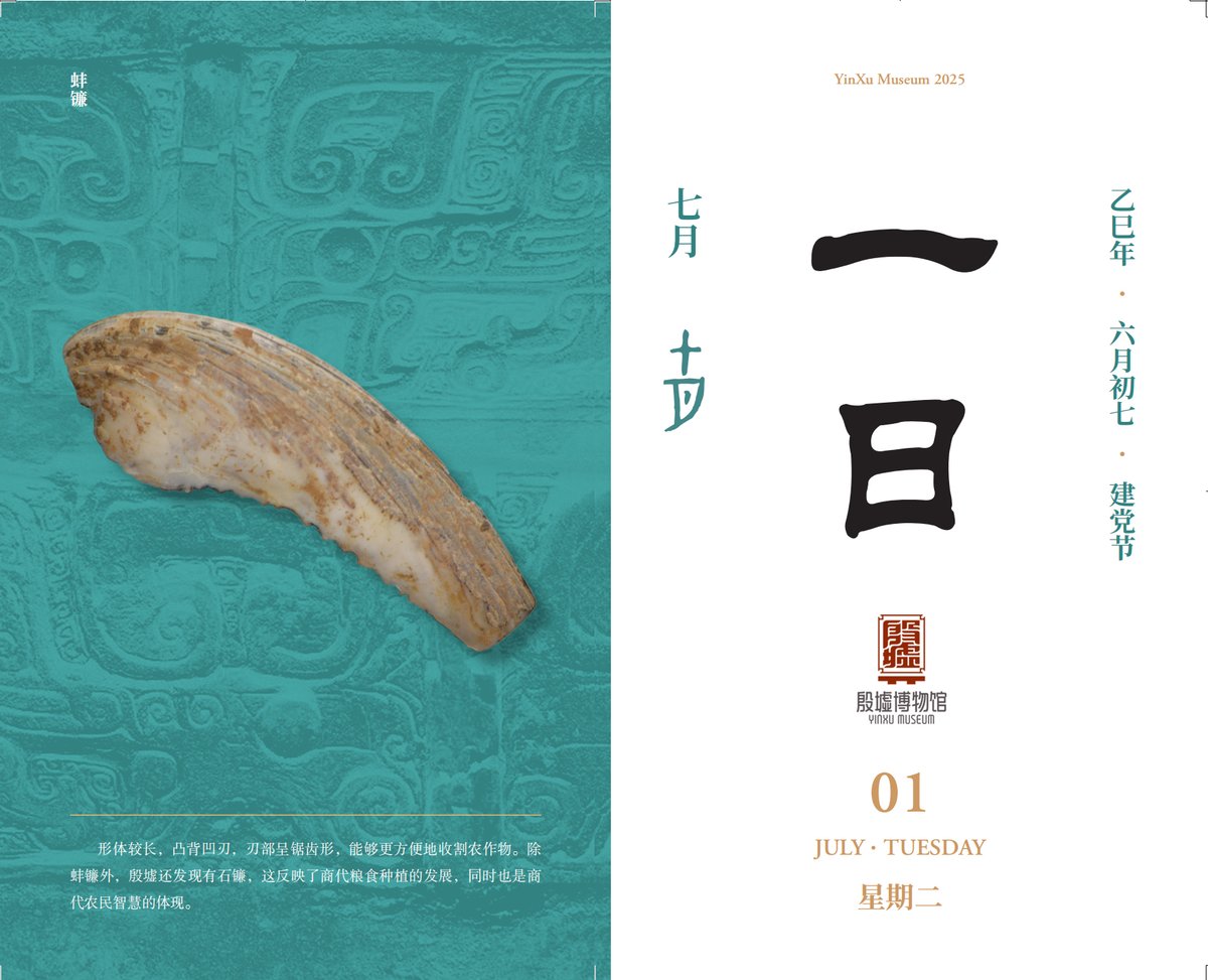 DiscoverAnyang's tweet image. 【Yinxu Calendar】🌧July 1st: The Shang Dynasty’s Shell Sickle – A 3,000-Year-Old Harvesting Marvel!

🔍 Artifact Spotlight:
• Material: Crafted from clam shells
• Design:
Long curved body
Serrated concave blade
Convex back for grip

#YinxuMuseum #Tuesday 
#AncientTools